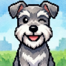 Schnauzer